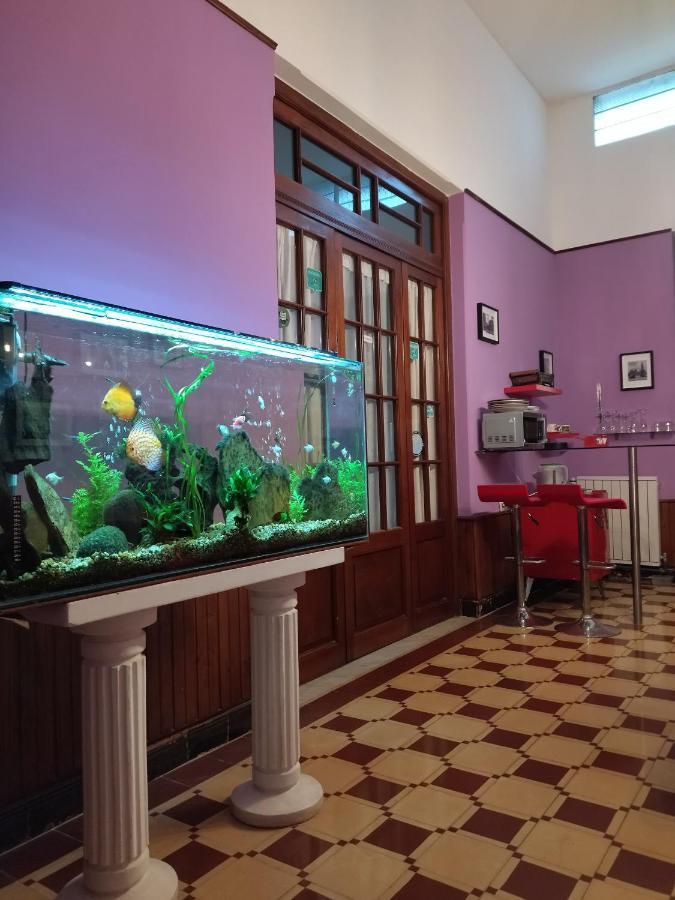Cane B&B Montevideu Exterior foto